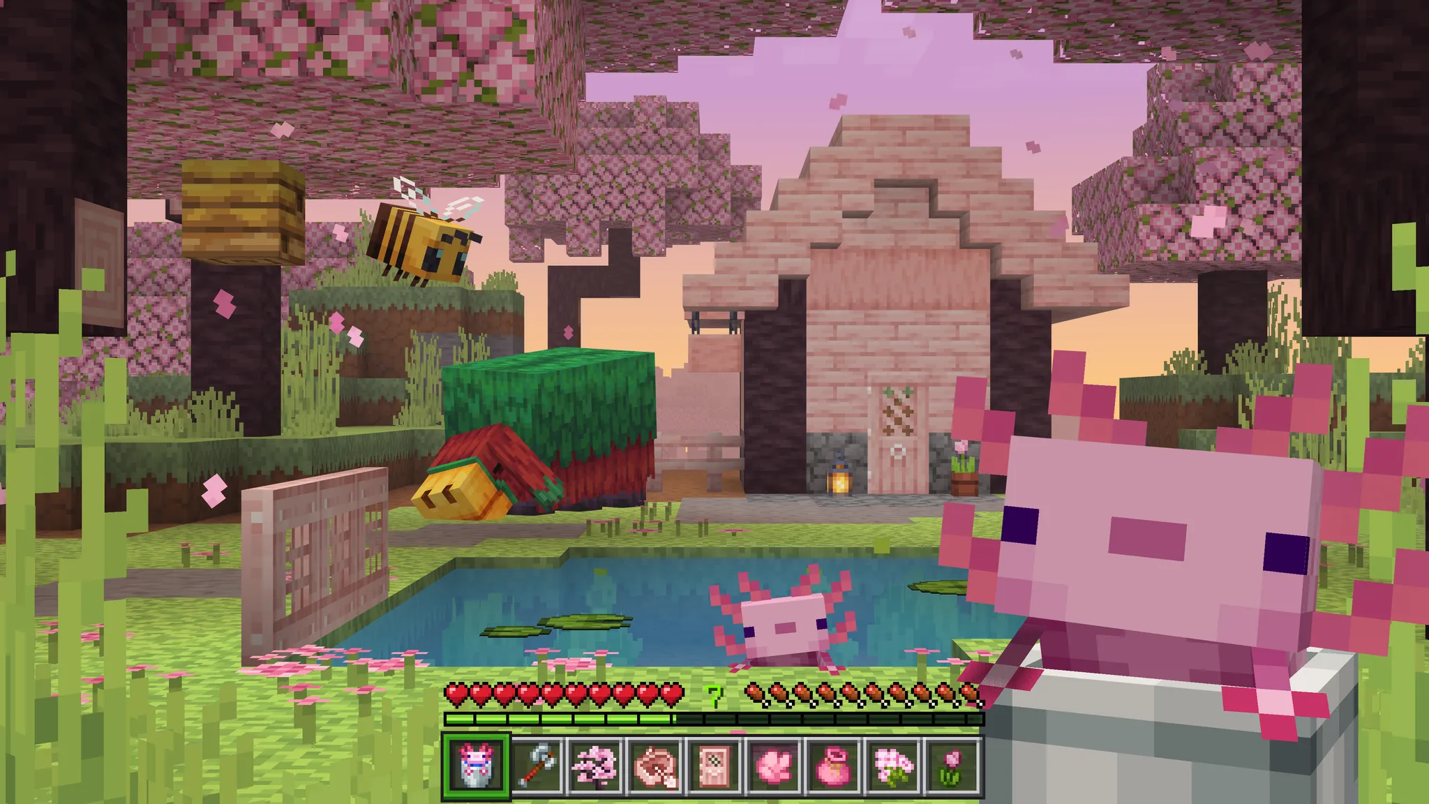 Default Image for Actions and Stuff 